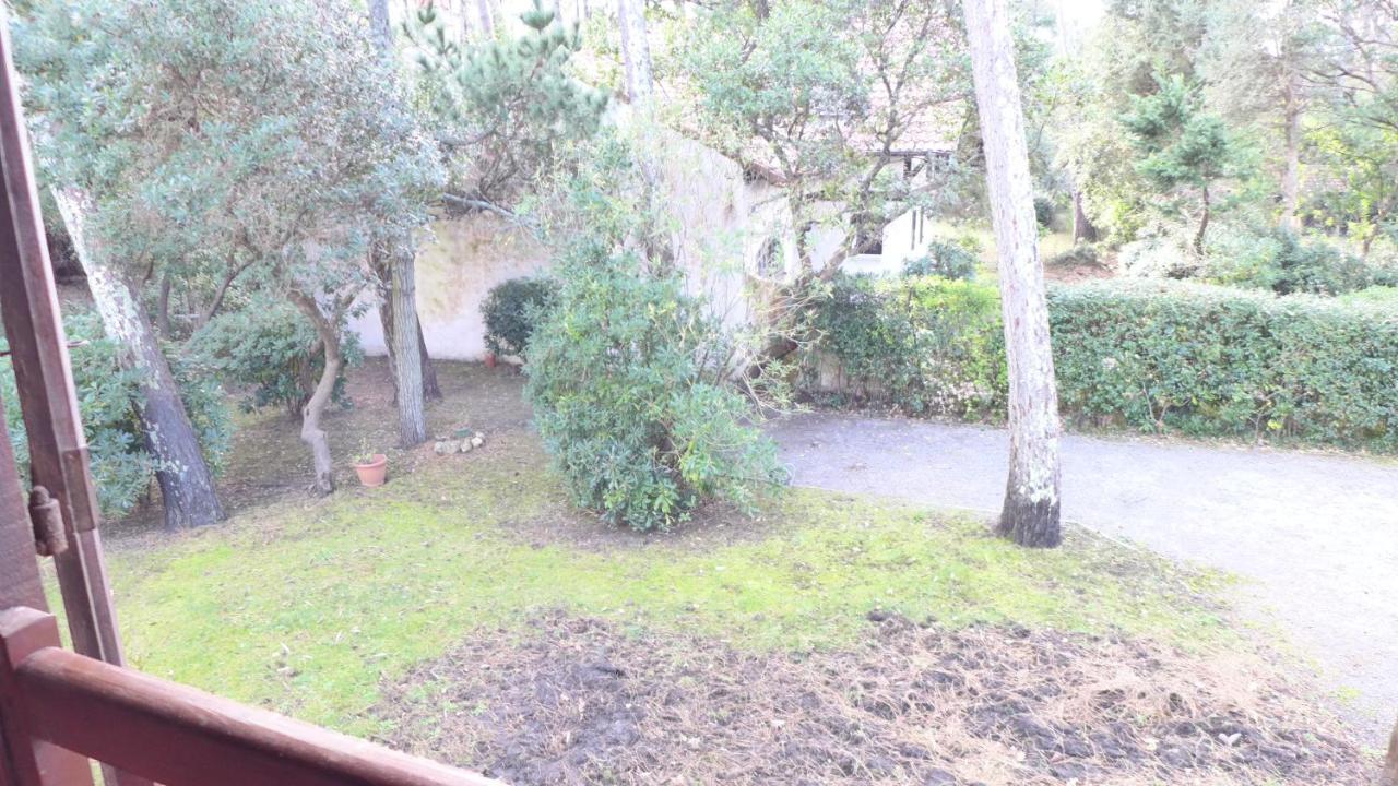 Ref 141 ,Seignosse Les Bourdaines , Villa Bouharde Classee 3 Etoiles, A 600 M Plage, 10 Personnes Dış mekan fotoğraf